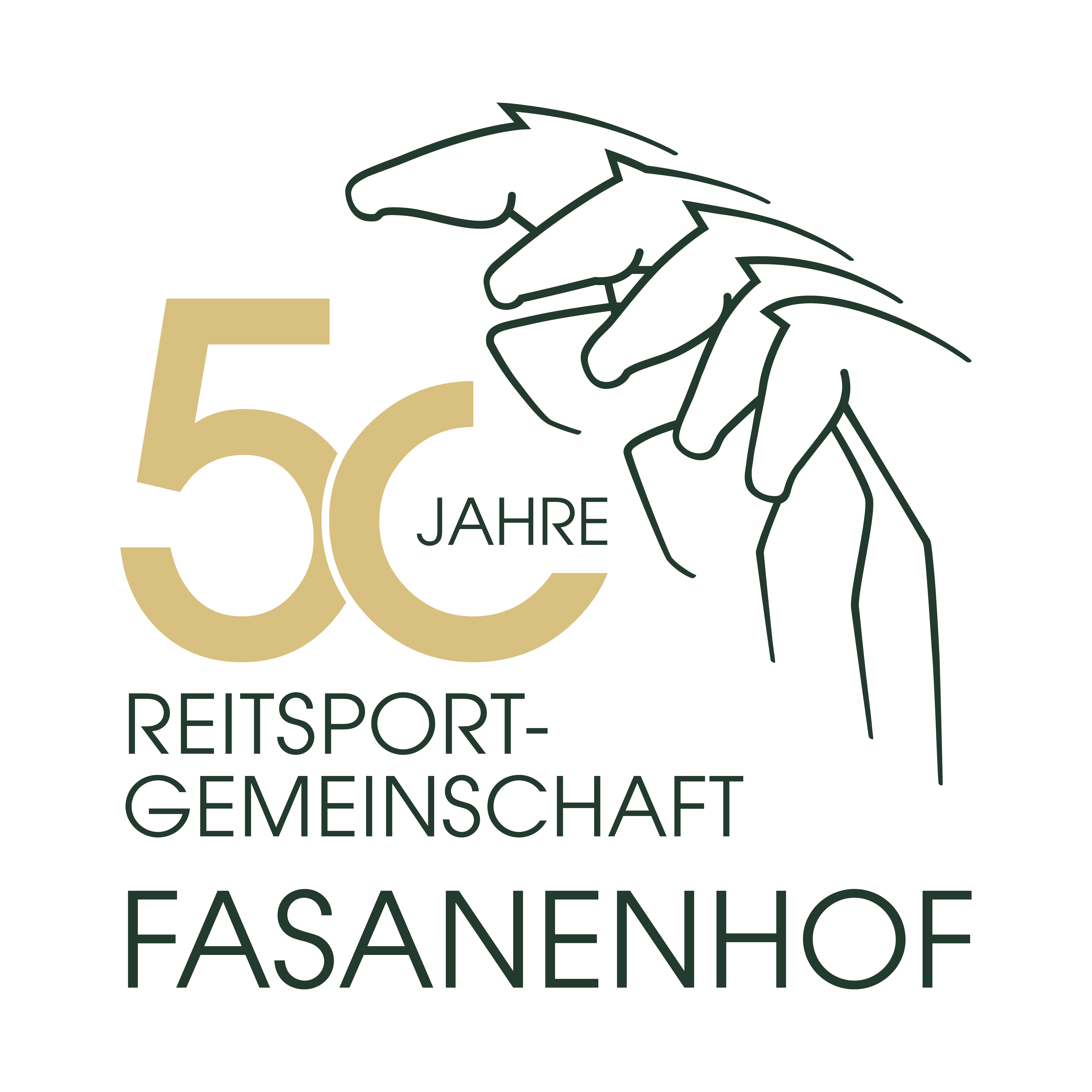 Logo 50 Jahre RSG